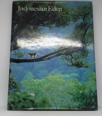 Image of Indonesiaan Eden acebs Rainforest
